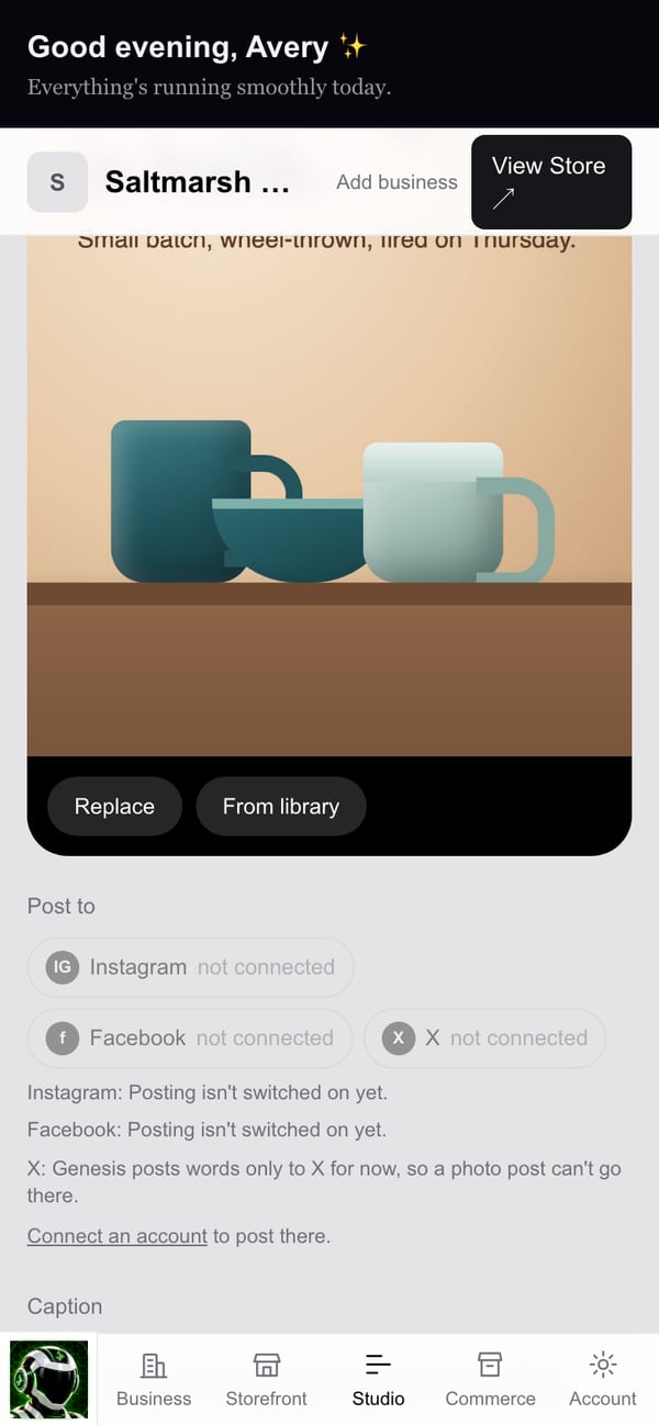 A photo post on a phone with the sample business's product photo added.